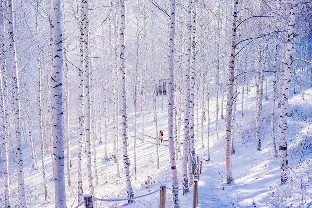 35張大片、35種風格,這些雪景美照我看了10遍!收藏!