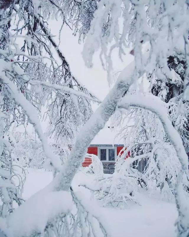 35張大片、35種風格,這些雪景美照我看了10遍!收藏!