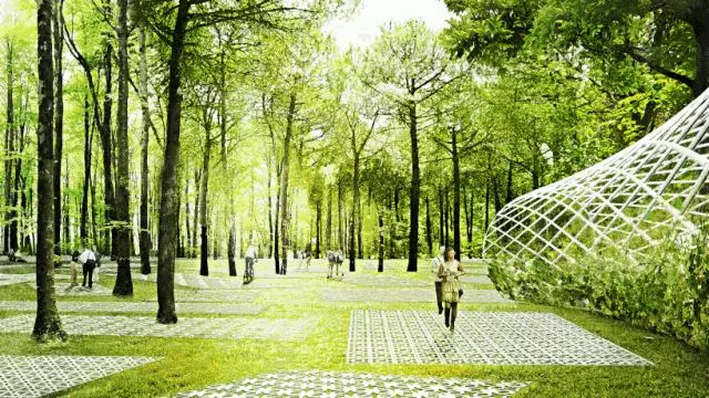 充滿未來感的森林公園