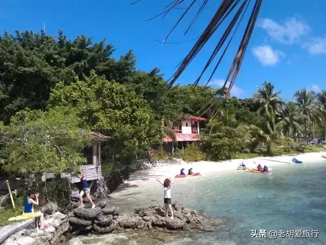 全世界唯一擁有無毒水母的地方,被稱作「上帝的水族箱」神秘島國
