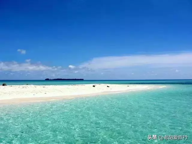 全世界唯一擁有無毒水母的地方,被稱作「上帝的水族箱」神秘島國