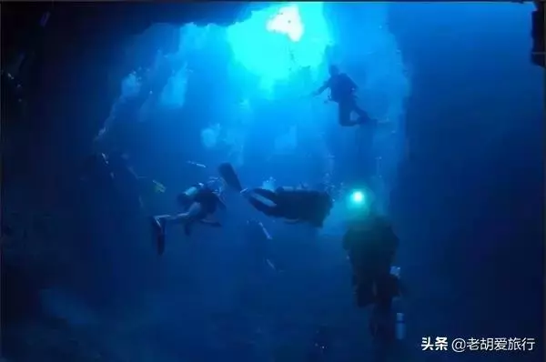 全世界唯一擁有無毒水母的地方,被稱作「上帝的水族箱」神秘島國