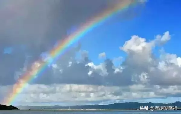 全世界唯一擁有無毒水母的地方,被稱作「上帝的水族箱」神秘島國