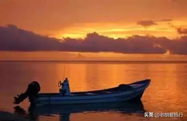 全世界唯一擁有無毒水母的地方,被稱作「上帝的水族箱」神秘島國