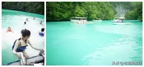 全世界唯一擁有無毒水母的地方,被稱作「上帝的水族箱」神秘島國