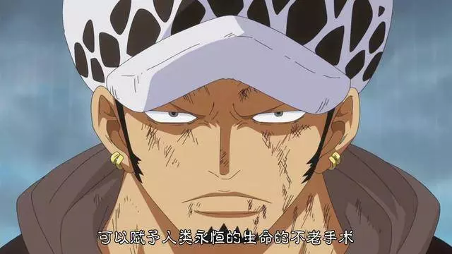 海賊王:路飛能否成為海賊王的男人,羅是最關鍵的人物