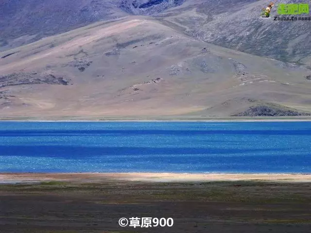 這可能是全中國最「有毒」的自駕路線!美到極致!去過才不枉此生
