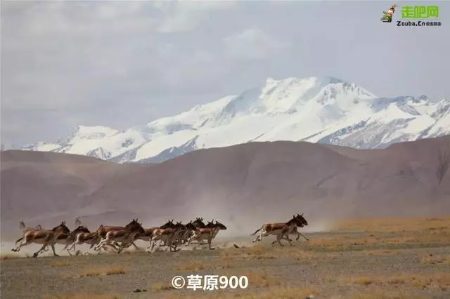 這可能是全中國最「有毒」的自駕路線!美到極致!去過才不枉此生