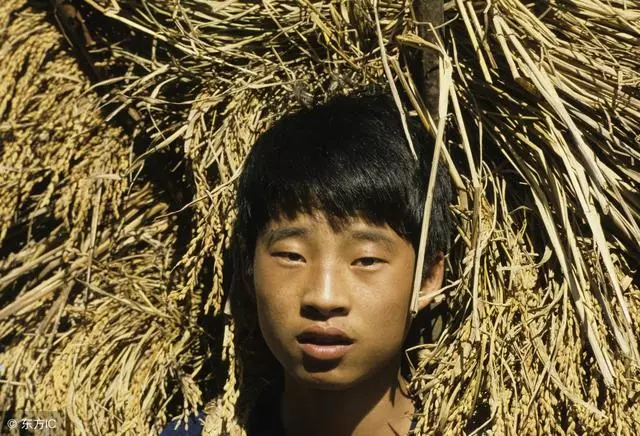 殘疾「兒子」回家,依舊被父母一家趕出,沒想到兒子早已身價千萬!