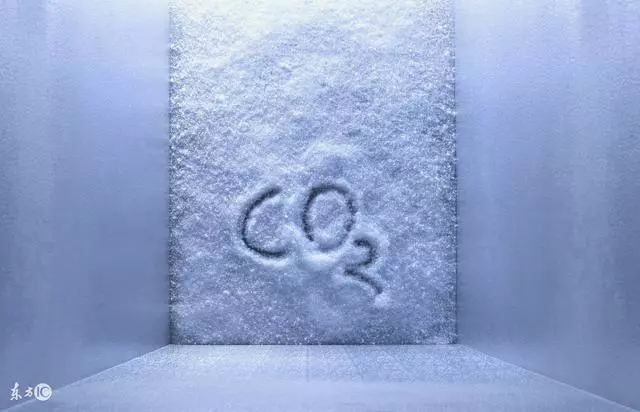 曬完被子有「太陽的味道」?專家告訴你崩潰事實,那味道來自蟎蟲,太噁心了