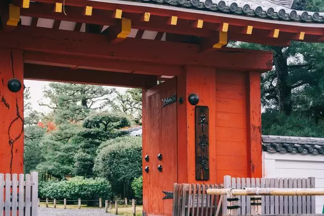 日本|這個京都旁邊的小城,以國寶和抹茶,美譽全球!