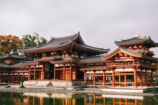 日本|這個京都旁邊的小城,以國寶和抹茶,美譽全球!