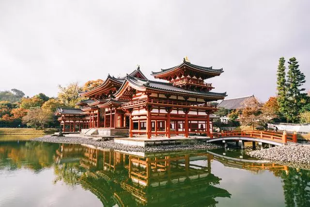 日本|這個京都旁邊的小城,以國寶和抹茶,美譽全球!