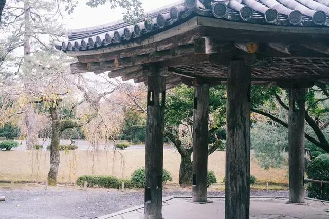 日本|這個京都旁邊的小城,以國寶和抹茶,美譽全球!