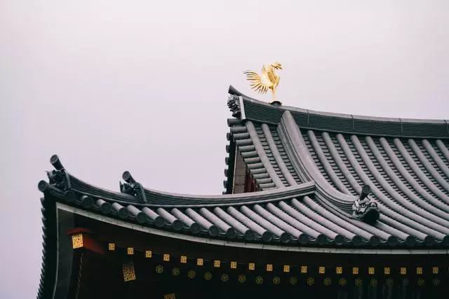 日本|這個京都旁邊的小城,以國寶和抹茶,美譽全球!