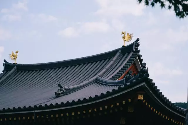 日本|這個京都旁邊的小城,以國寶和抹茶,美譽全球!