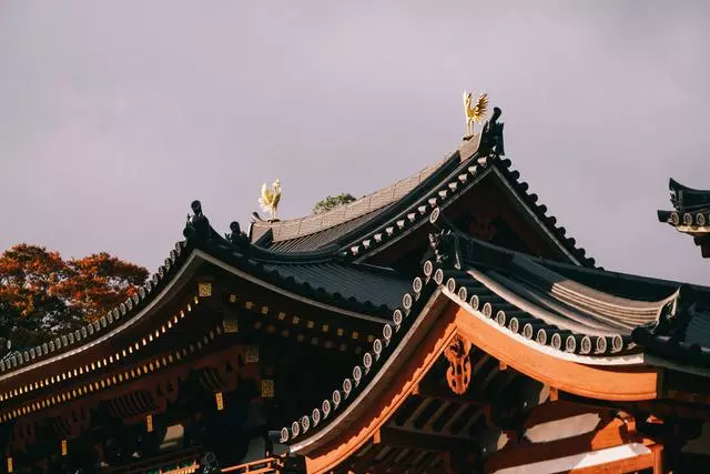 日本|這個京都旁邊的小城,以國寶和抹茶,美譽全球!