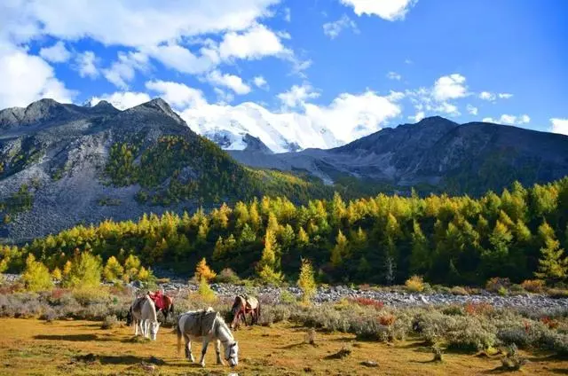 即將被開發!與色達比肩的聖地,境內藏有一座神山,美得實在低調