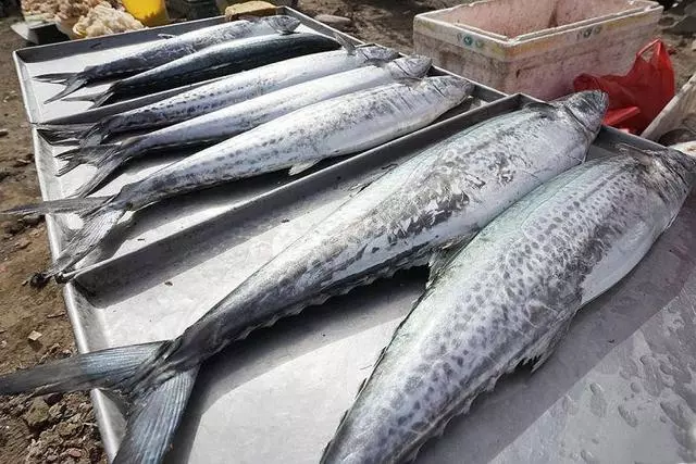 幾種「特殊」的餃子餡兒,別說見過,吃過一種的都是土豪