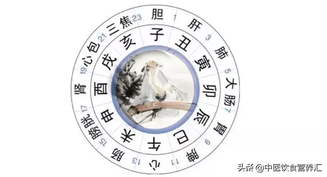 收好這份「十二時辰」養生經,在適合的時間做該做的事