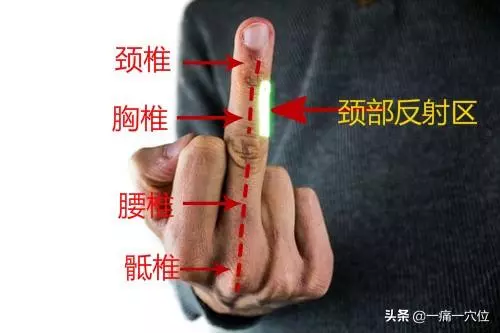 頸椎疲勞不要愁?掐掐手上這個部位,頸椎不疲勞了,頭部也舒服了