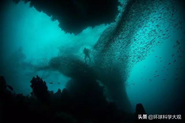 地球瀕臨災難邊緣,人類還有未來嗎?科學家:亡羊補牢,猶未晚也