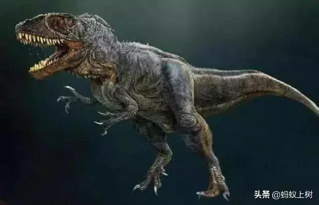 5種戰鬥力超強的遠古生物,第3種因過於龐大笨重而滅絕