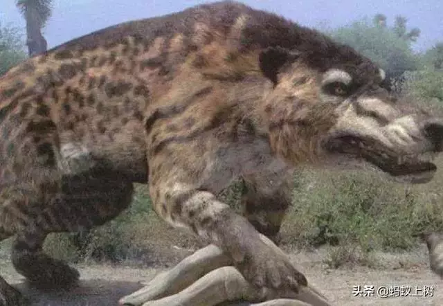 5種戰鬥力超強的遠古生物,第3種因過於龐大笨重而滅絕
