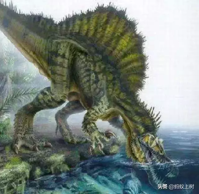 5種戰鬥力超強的遠古生物,第3種因過於龐大笨重而滅絕