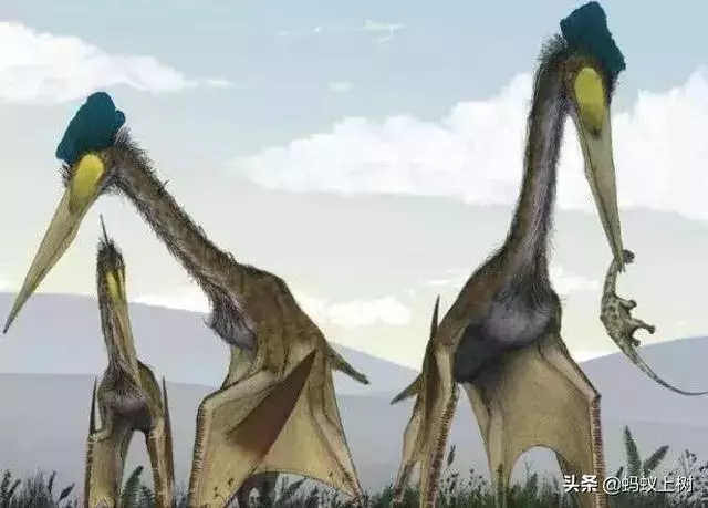 5種戰鬥力超強的遠古生物,第3種因過於龐大笨重而滅絕