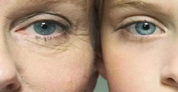 多吃這2種水果,可降低身體老化,有助避開60至69歲的疾病危險期!