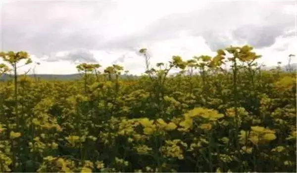 蛇不知道自己有毒,人不知道自己有錯(句句經典)
