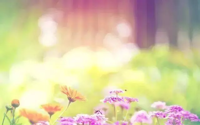 蛇不知道自己有毒,人不知道自己有錯(句句經典)