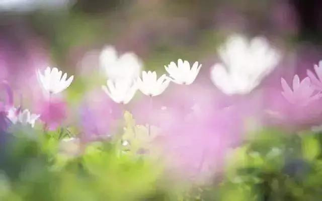 蛇不知道自己有毒,人不知道自己有錯(句句經典)