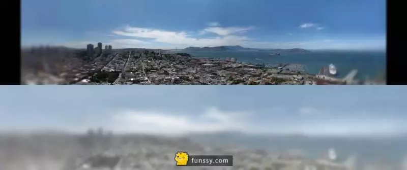 貓咪vs人類的視力!到底有什麼差別呢?