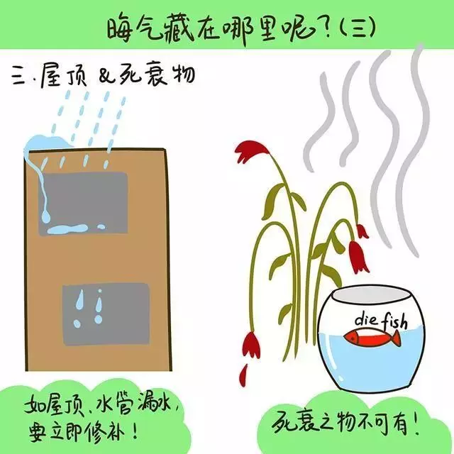 家裡這三個地方「陰森森」會讓你失去愛情和金錢!