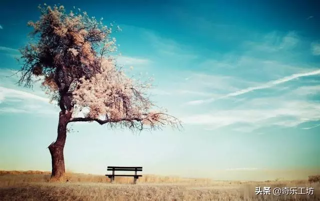 幫大姑姐辛苦帶一年孩子,年底弟媳拿出帳單,大姑姐:窮瘋了吧?