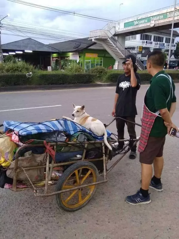 泰國癡情男帶著女友骨灰,步行1541公里!只為了當初的誓言,讓人都忍不住幫他加油打氣!