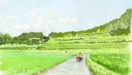 除了堅強,我別無選擇