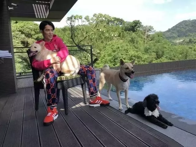 曾經「被人嫌棄」的土狗 如今卻成為大明星蕭敬騰的寶貝!如今百萬都不換