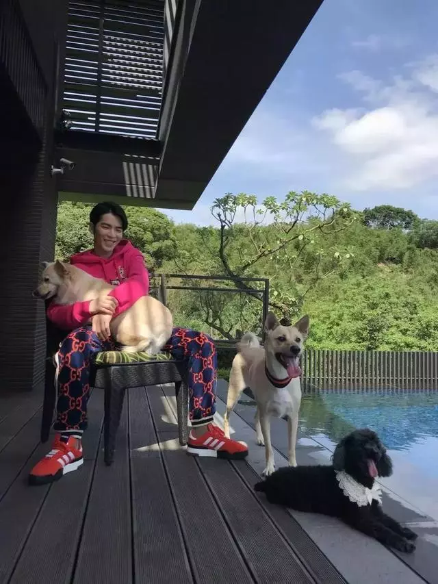 曾經「被人嫌棄」的土狗 如今卻成為大明星蕭敬騰的寶貝!如今百萬都不換