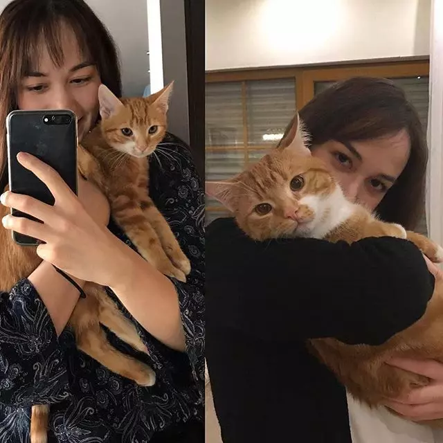 奴才又被騙了!10組喵星人「童年VS長大」反差照:橘貓果然沒讓人失望~