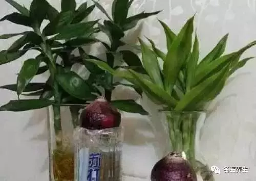 她把小蘇打灑在馬桶上,不可思議的事情發生了(收藏)