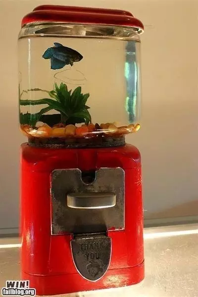 18個唯有天才般的創意才足以創造的獨特造型魚缸,愛好水族你的肯定會想擁有其中一個!