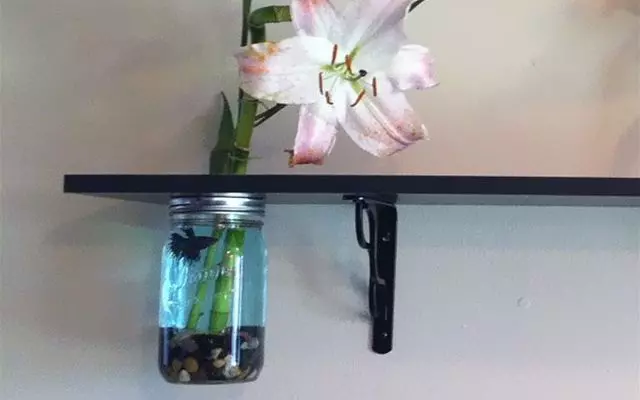 18個唯有天才般的創意才足以創造的獨特造型魚缸,愛好水族你的肯定會想擁有其中一個!