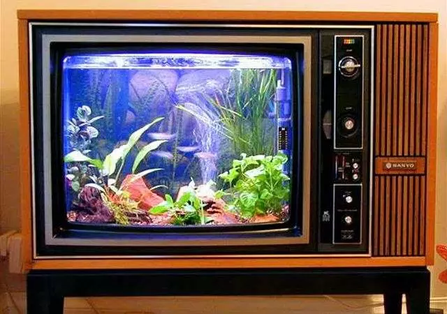 18個唯有天才般的創意才足以創造的獨特造型魚缸,愛好水族你的肯定會想擁有其中一個!