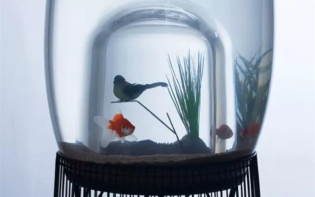 18個唯有天才般的創意才足以創造的獨特造型魚缸,愛好水族你的肯定會想擁有其中一個!