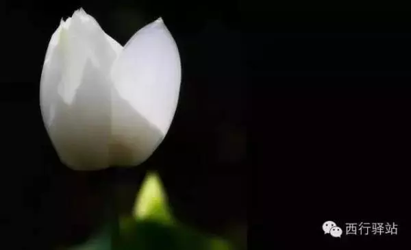 路是自己走的!人生苦短,這「五別」做到了...此生沒遺憾