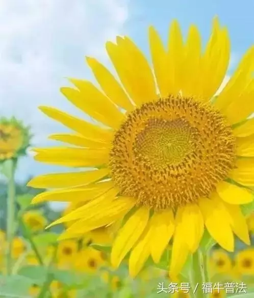 正能量的人，真的自帶光芒！