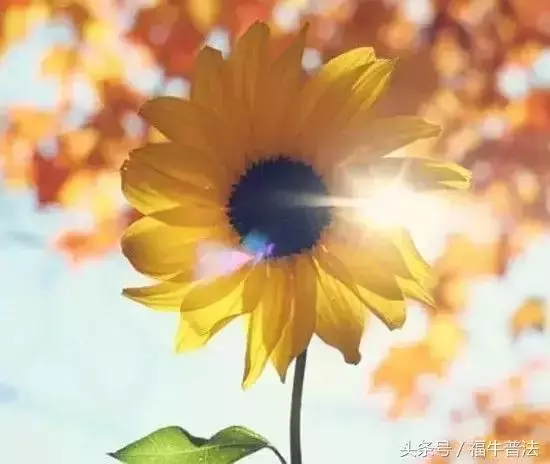 正能量的人，真的自帶光芒！